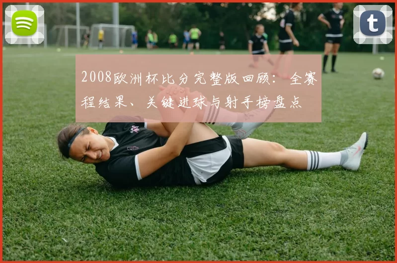2008欧洲杯比分完整版回顾：全赛程结果、关键进球与射手榜盘点