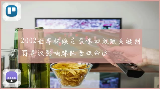 2002世界杯缺乏录像回放致关键判罚争议影响球队晋级命运