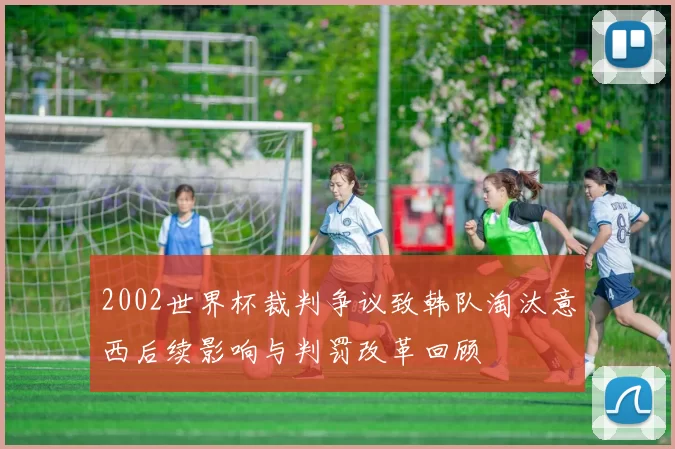 2002世界杯裁判争议致韩队淘汰意西后续影响与判罚改革回顾