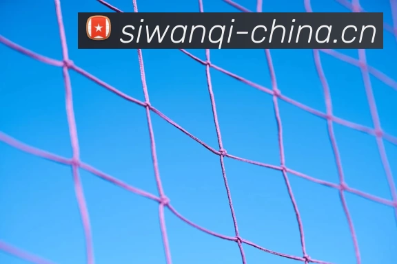 Kaiyun (中国官方网站) - 官方认证的服务平台平台生态图